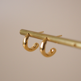 puchi curl pierce